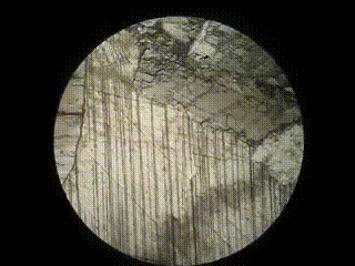 Calcite crystals seen within a rock sample, with and without the cross-polarizing analyzer